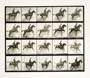 Mies ja hevonen hyppäämässä aidan yli, 1887 tekijältä Eadweard Muybridge