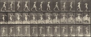 Kilpi nro 175. Puron ylitys ponnahduskivillä onkivavalla ja tölkillä, 1887. tekijältä Eadweard Muybridge