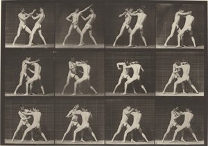 Kilpi numero 340. Nyrkkeily, avokäsikengät, 1887. tekijältä Eadweard Muybridge
