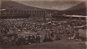 Plaza ja Viceroy