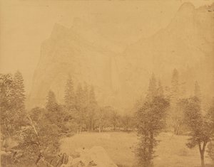 Pohona. Yosemiten laakso.