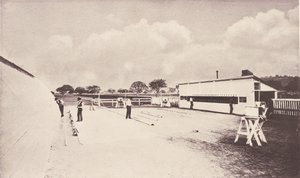Hevonen liikkeessä hetkellisen valokuvauksen osoittamana. Eläintutkimuksen kanssa..., 1881-1882. tekijältä Eadweard Muybridge