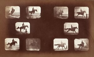 Eläinten liikkuminen (mies hevosen selässä esteiden yli) tekijältä Eadweard Muybridge