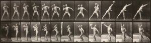 Eläinten liikkuminen (levy 319) (Mies heittää palloa) tekijältä Eadweard Muybridge