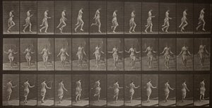 Eläinten liikkuminen, levy 174 tekijältä Eadweard Muybridge