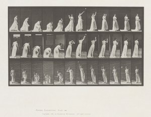 Animal Locomotion, levy 305 tekijältä Eadweard Muybridge