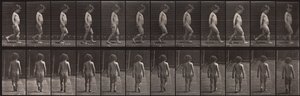 Eläinten liikkuminen, levy 467 tekijältä Eadweard Muybridge