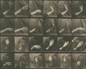 Eläinten liikkuminen, levy 535 tekijältä Eadweard Muybridge