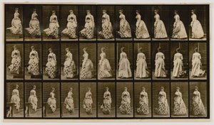 Portaiden laskeutuminen ja kääntyminen, kirjasta Animal Locomotion (Eläinten liikkuminen). tekijältä Eadweard Muybridge