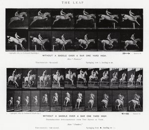 Eadweard Muybridge: The Leap (m/w kuva) tekijältä Eadweard Muybridge