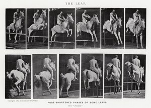 Eadweard Muybridge: The Leap (m/w kuva) tekijältä Eadweard Muybridge