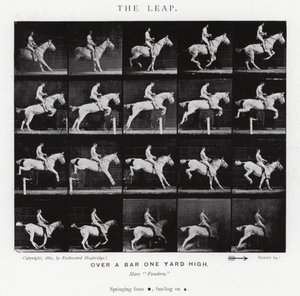 Eadweard Muybridge: The Leap (m/w kuva) tekijältä Eadweard Muybridge