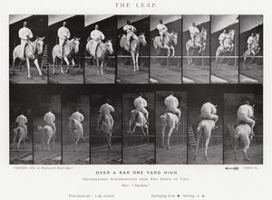 Eadweard Muybridge: The Leap (m/w kuva) tekijältä Eadweard Muybridge