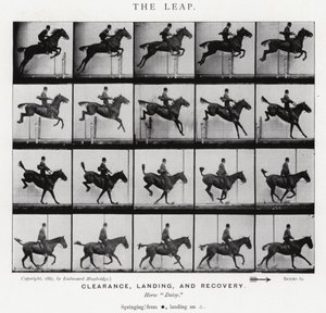 Eadweard Muybridge: The Leap (m/w kuva) tekijältä Eadweard Muybridge