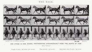 Eadweard Muybridge: The Rack (m/w kuva) tekijältä Eadweard Muybridge