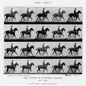 Eadweard Muybridge: Ravi tekijältä Eadweard Muybridge