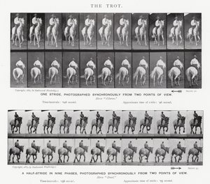 Eadweard Muybridge: Ravi tekijältä Eadweard Muybridge