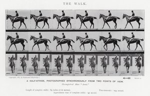 Eadweard Muybridge: The Walk (m/w kuva) tekijältä Eadweard Muybridge