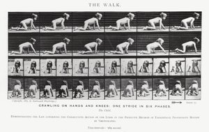 Eadweard Muybridge: The Walk (m/w kuva) tekijältä Eadweard Muybridge