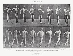 Eadweard Muybridge: The Walk (m/w kuva) tekijältä Eadweard Muybridge
