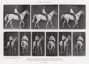 Eadweard Muybridge: The Walk (m/w kuva) tekijältä Eadweard Muybridge