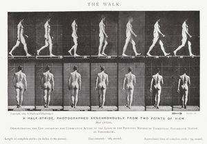Eadweard Muybridge: The Walk (m/w kuva) tekijältä Eadweard Muybridge