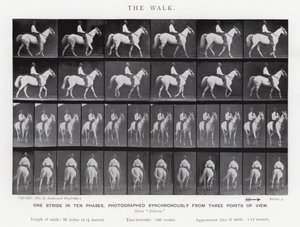 Eadweard Muybridge: The Walk (m/w kuva) tekijältä Eadweard Muybridge