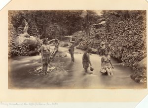 Kahvinpoimijoiden iltaharrastukset, San Isidro, Keski-Amerikan ja Meksikon Tyynenmeren rannikolta; Panaman kannakselta; Guatemalasta; ja kahvin viljelystä ja kuljetuksesta tekijältä Eadweard Muybridge