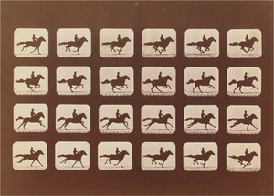 Hevoset. Juoksemassa. Phyrne L. nro 40 tekijältä Eadweard Muybridge