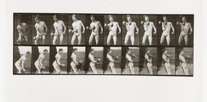 Mies nostamassa käsipainoa, levy 324 Animal Locomotionista, 1887 tekijältä Eadweard Muybridge