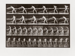 Mies höylää puuta, Animal Locomotionin levy 379, 1887 tekijältä Eadweard Muybridge
