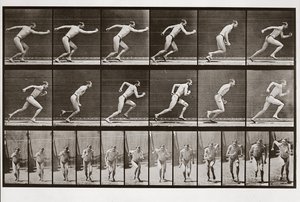 Mies juoksee, levy 59 Animal Locomotionista, 1887 tekijältä Eadweard Muybridge