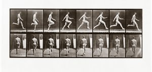 Mies juoksee, levy 65 Animal Locomotionista, 1887 tekijältä Eadweard Muybridge