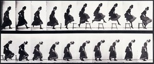 Motion Study, n. 1872-1885 tekijältä Eadweard Muybridge