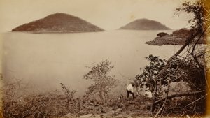 Perico ja Flamenco - Naosin saarelta, Panamasta tekijältä Eadweard Muybridge