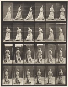 Kilpi 100. Kääntyvät ja nousevat portaat, 1885 tekijältä Eadweard Muybridge