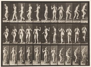 Levy 101. Kääntyvät ja nousevat portaat, heiluttava käsi, 1872-1885 tekijältä Eadweard Muybridge