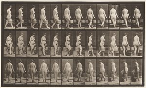 Levy 106. Kääntyminen portaiden nousuun, vesiämpäri kummassakin kädessä, 1872-1885 tekijältä Eadweard Muybridge