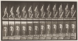 Levy 109. Nousevat tikkaat, 1872-1885 tekijältä Eadweard Muybridge
