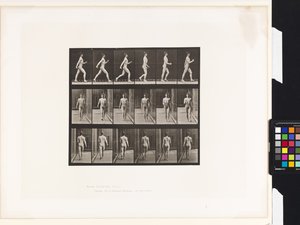 Lauta 10. Kävely tekijältä Eadweard Muybridge