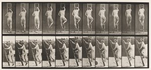 Levy 111. Nousevat tikkaat tekijältä Eadweard Muybridge