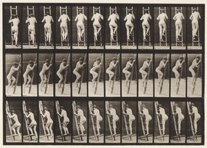 Levy 112. Nousevat tikkaat tekijältä Eadweard Muybridge