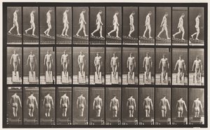 Levy 114. Laskeva kaltevuus, kulma 1 in 4, 1872-1885 tekijältä Eadweard Muybridge