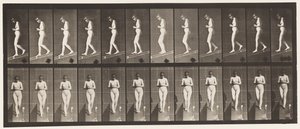 Levy 115. Laskeva kaltevuus kädet ristissä edessä tekijältä Eadweard Muybridge