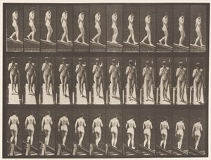 Levy 116. Laskeva kaltevuus, yksi käsi leualla tekijältä Eadweard Muybridge