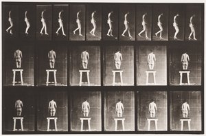 Levy 118. Laskeva kaltevuus tekijältä Eadweard Muybridge