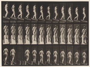 Kilpi 119. Laskeva kaltevuus, oikea käsi rinnassa (kengät) tekijältä Eadweard Muybridge