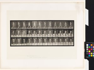 Lauta 11. Kävely tekijältä Eadweard Muybridge