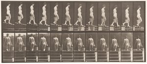 Levy 120. Laskeva kaltevuus, vesiämpäri oikealla kädellä, 1872-1885 tekijältä Eadweard Muybridge