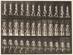Levy 122. Laskeva kaltevuus, vesiämpäri kummassakin kädessä, 1872-1885 tekijältä Eadweard Muybridge
